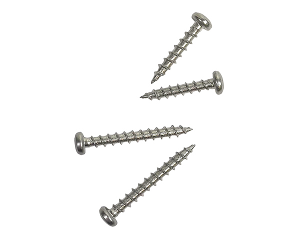 Stainless Steel Trim Head Screws